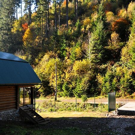 Гостьовий Дім Секвойя Verkhnyaya Bystra Dış mekan fotoğraf