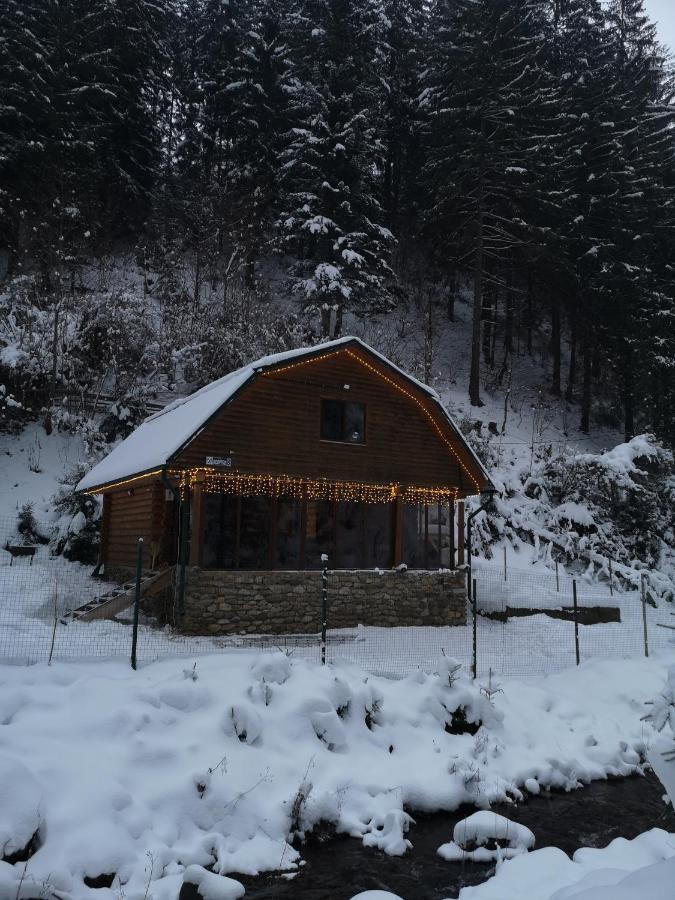 Гостьовий Дім Секвойя Verkhnyaya Bystra Dış mekan fotoğraf