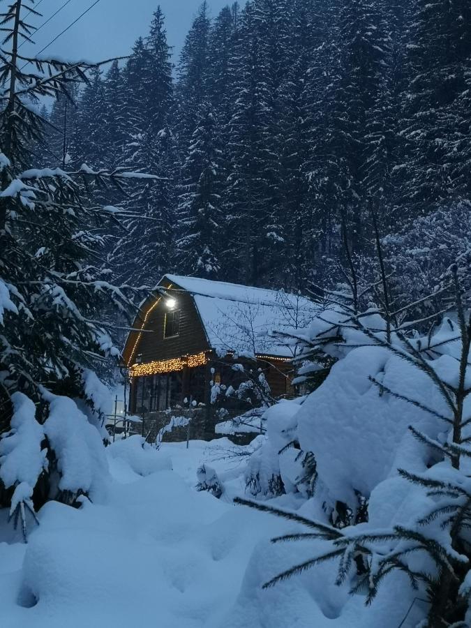 Гостьовий Дім Секвойя Verkhnyaya Bystra Dış mekan fotoğraf